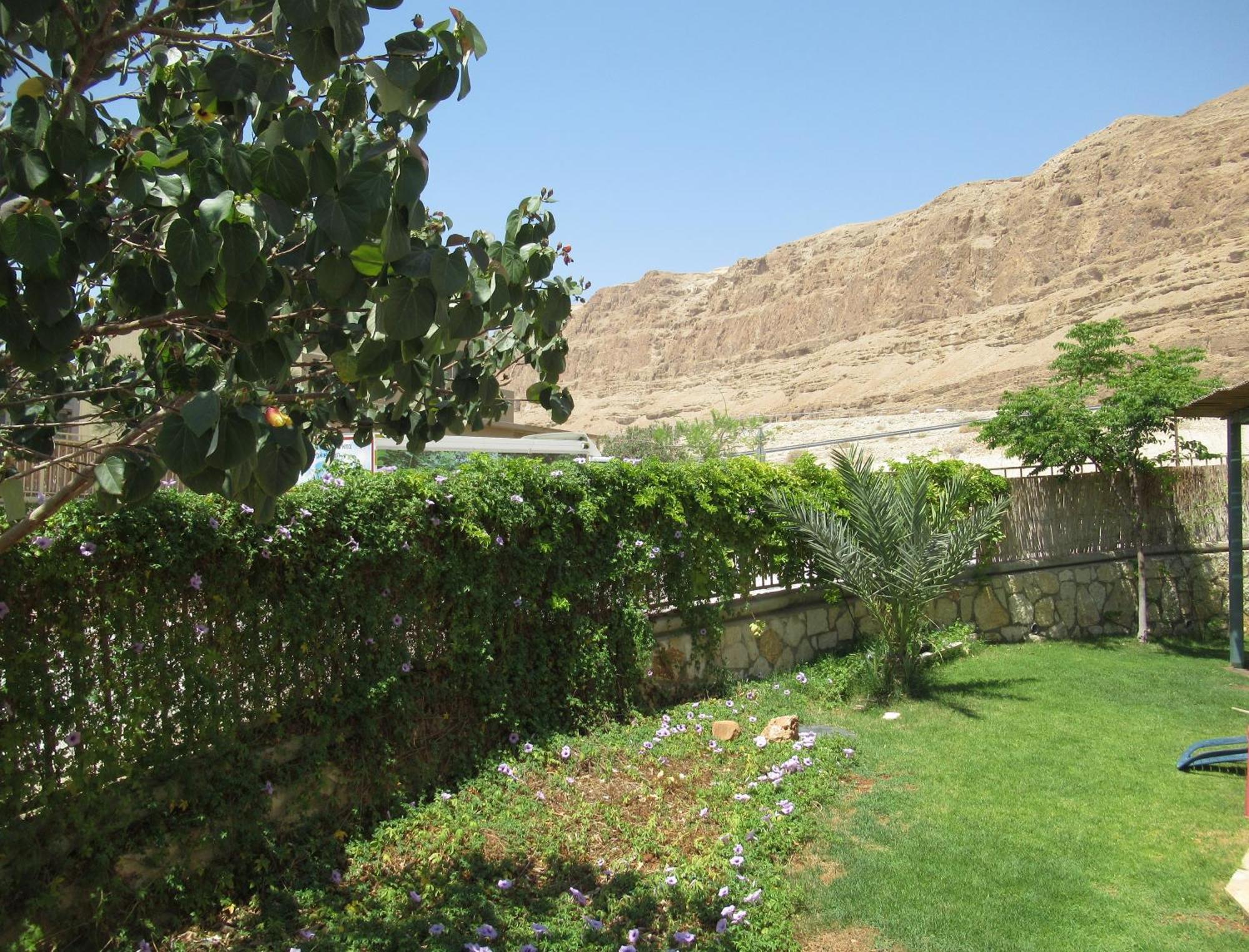 Unique&Warmy Place In The Dead Sea Avnat エクステリア 写真