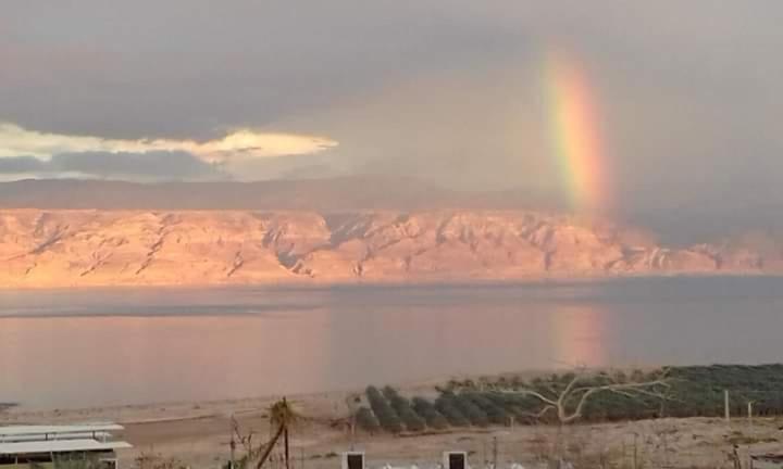 Unique&Warmy Place In The Dead Sea Avnat エクステリア 写真